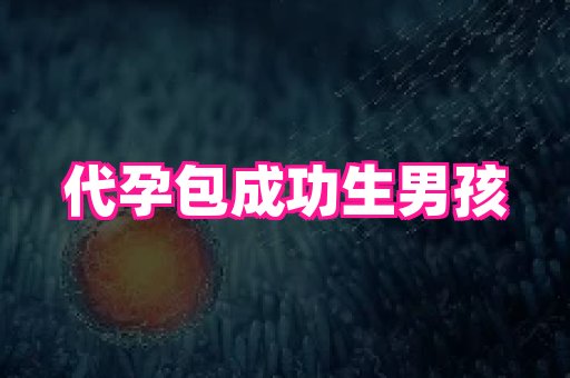 swisee孕网 1