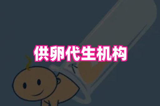 swisee孕网 2