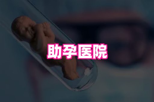 swisee孕网 3